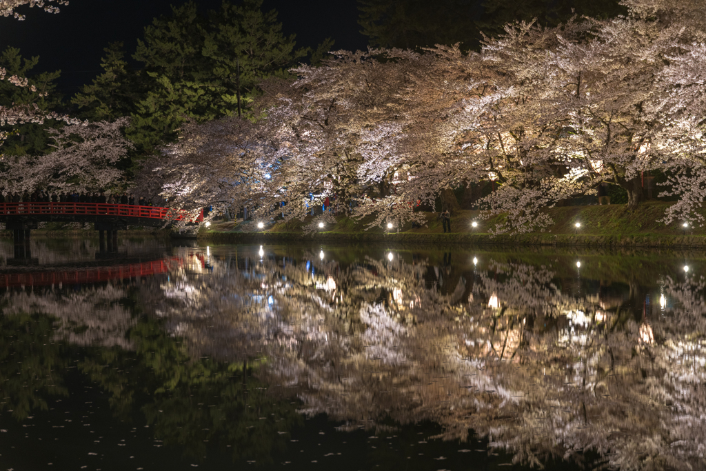 闇夜桜