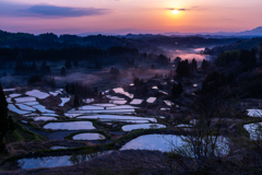 田植え前の朝