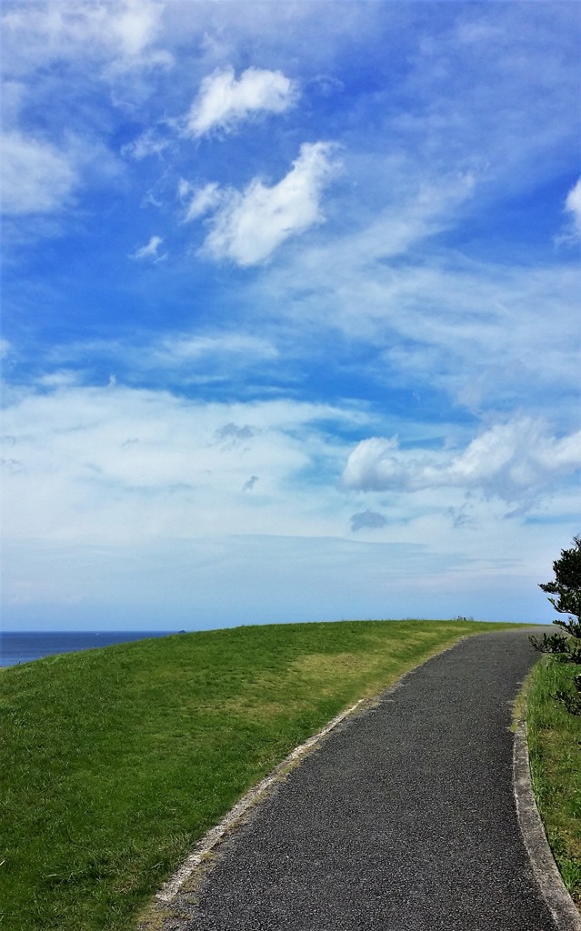 奄美の夏