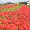 矢作川提の絶景