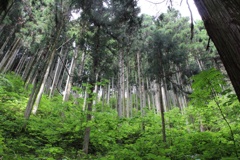 御岳山
