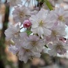 P4150252