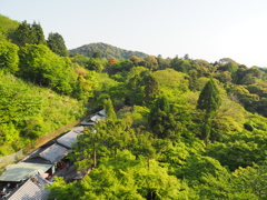 P4300031