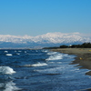 IMG_0701