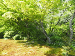 P5020369