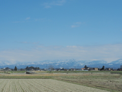 IMG_0690