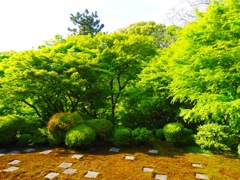 P5020387