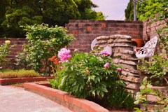 ガーデニングⅤ