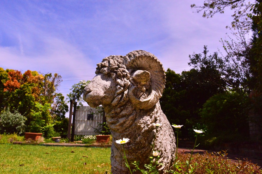 ガーデニングⅢ