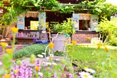 ガーデニングⅡ