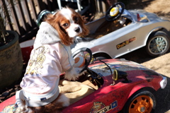 乗ってかない？