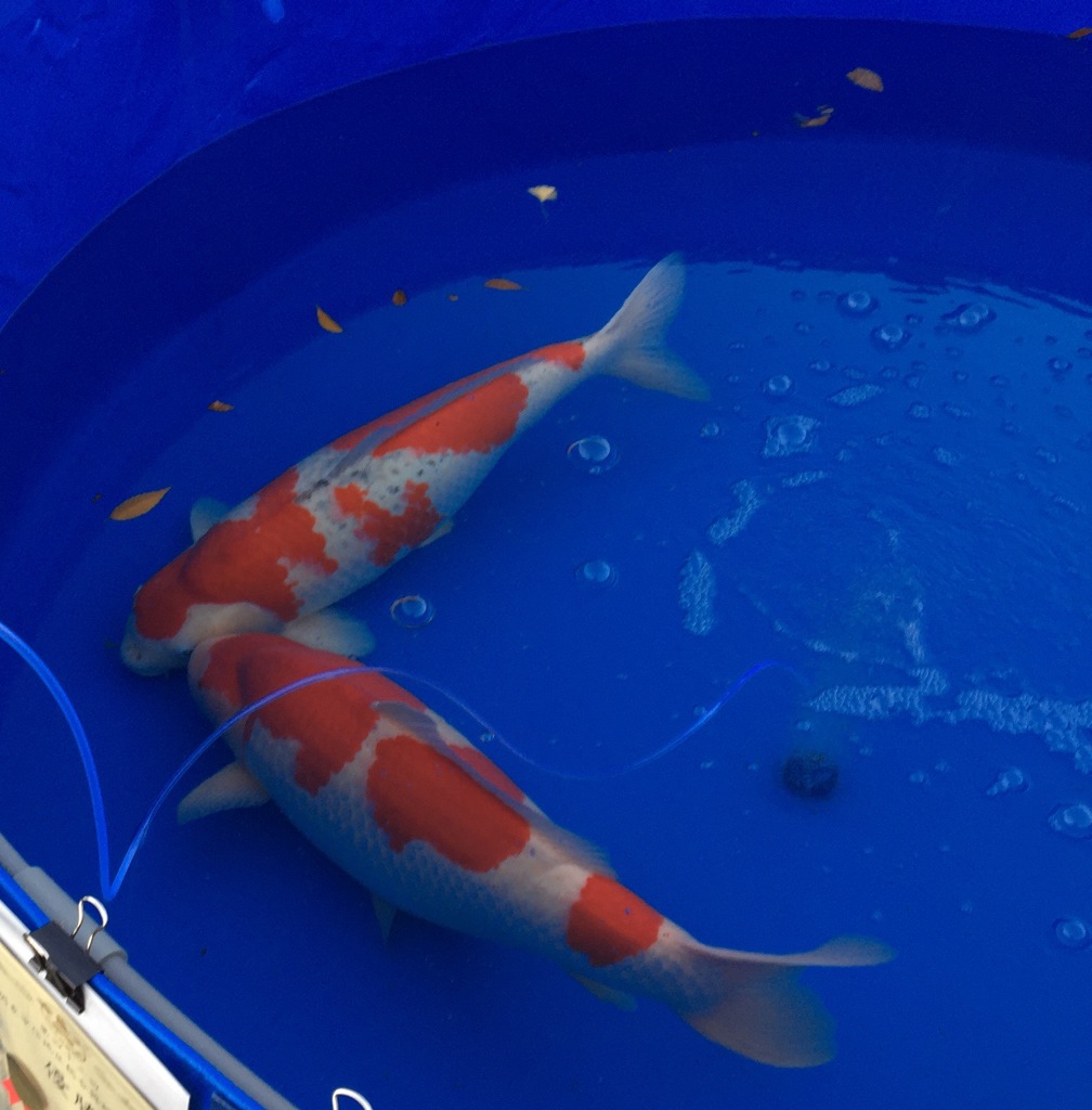 ほっぺに ちゅっ❤️