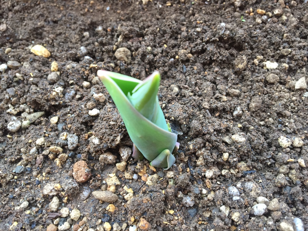 春は、もうすぐ。。(^-^)/