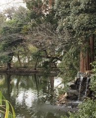 7570B22C-39AB-44C1-B5BA-162AAB7D6C57