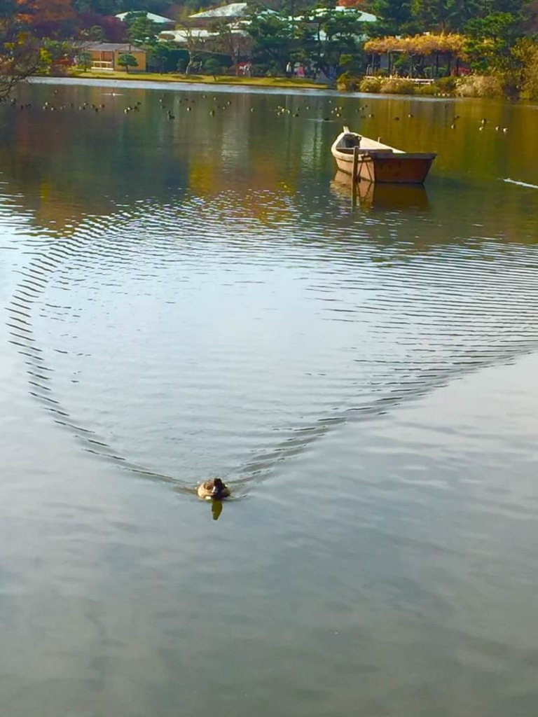 泳跡  と呼ぶのでしょうか？