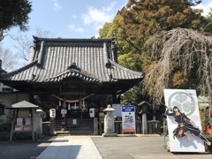 桜の開花を待つ前橋東照宮(^^)