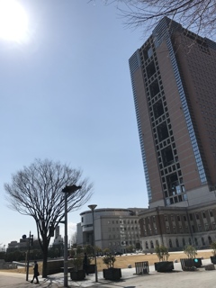 前橋県庁。。立派(^^)
