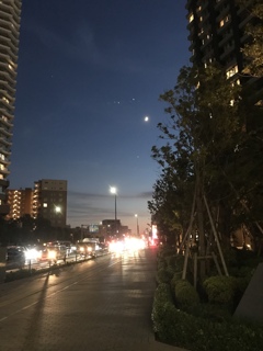 ラッシュの光と月。。