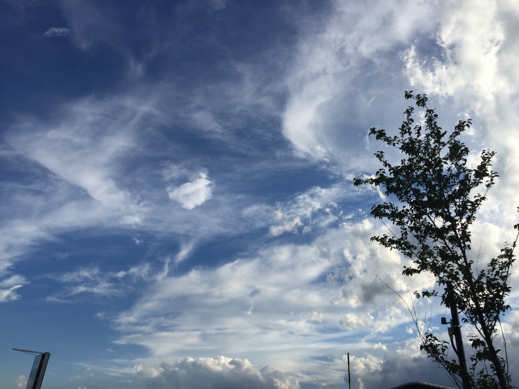 26387F23-4B59-4298-9D2D-1CBF311463FA