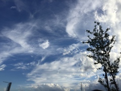 26387F23-4B59-4298-9D2D-1CBF311463FA