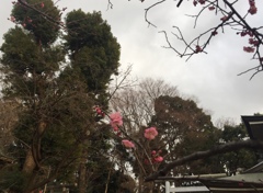 E1C2FBC5-2062-407C-BA35-8925EE4A3DC4