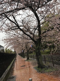 最後は雨。。