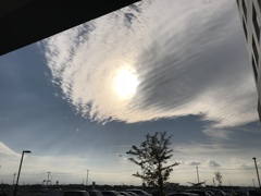ある日の午後。。