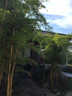 田舎の心地よい風と空(^ ^)