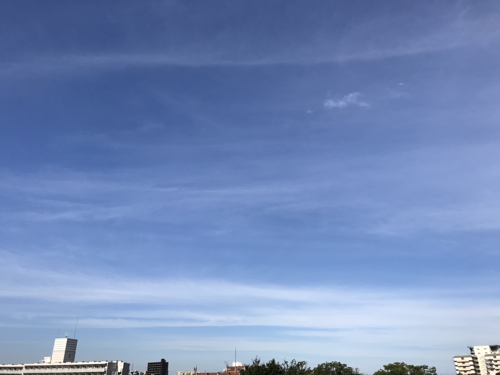 横線のように(^^)