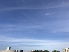 横線のように(^^)