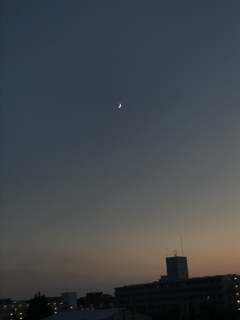 可愛い月(^^)