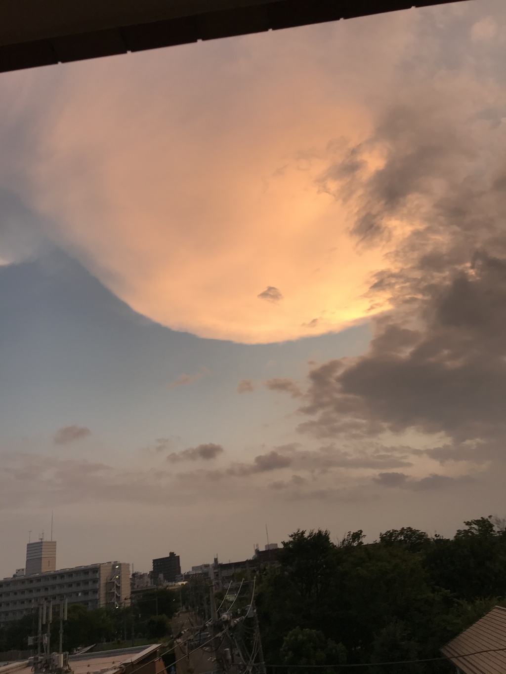 なんか、すごい！！