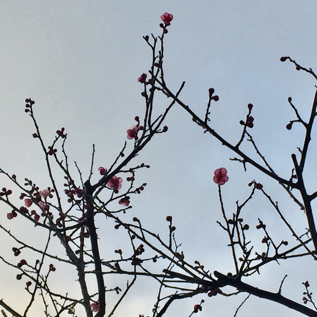 43B578FC-3B32-48E7-AF43-82A89BFF7266