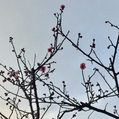 43B578FC-3B32-48E7-AF43-82A89BFF7266