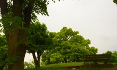 思い出の公園(^-^)