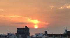 赤く。。