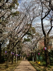 春はのどかに。。