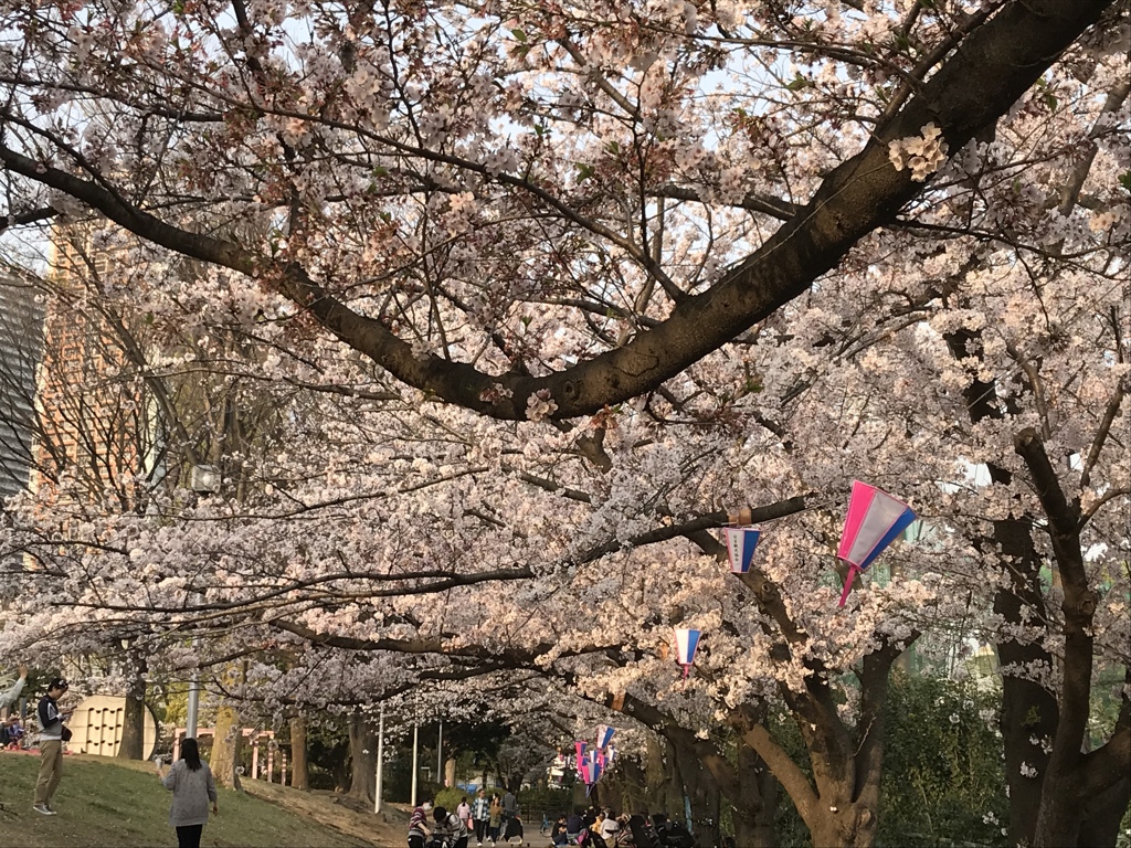 B0E94100-E9C0-45D3-A06D-B600F7C8EE7C