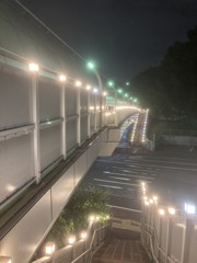 ライトアップ(^ ^)