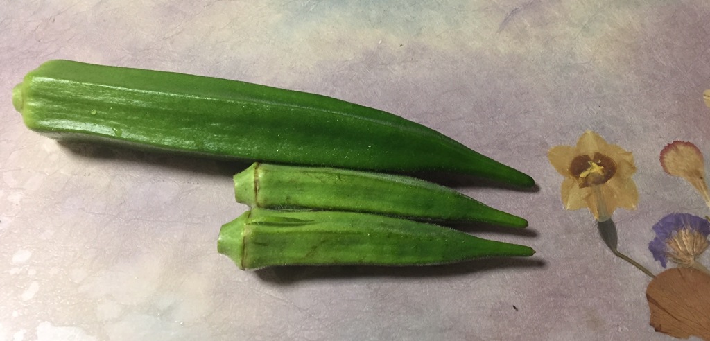 実家で出来た大きなオクラ(^ ^)