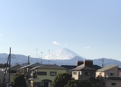 梅園からの富士山