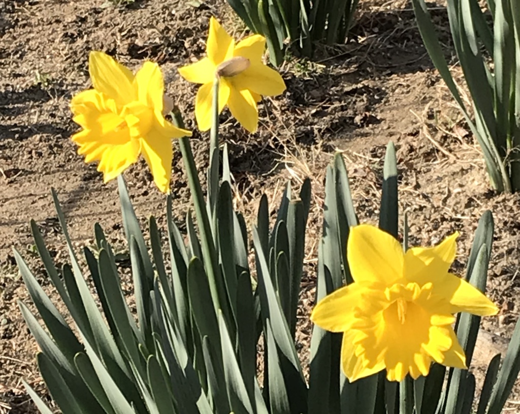 日差しあったかいね。。と(^^)