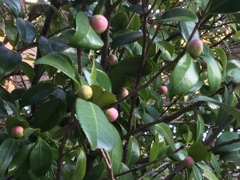 そっと、、じっと、、。