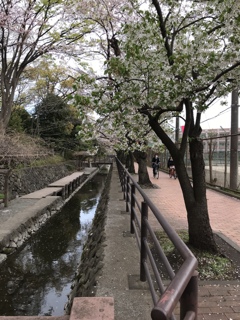 新学期の始まり。。(^^)
