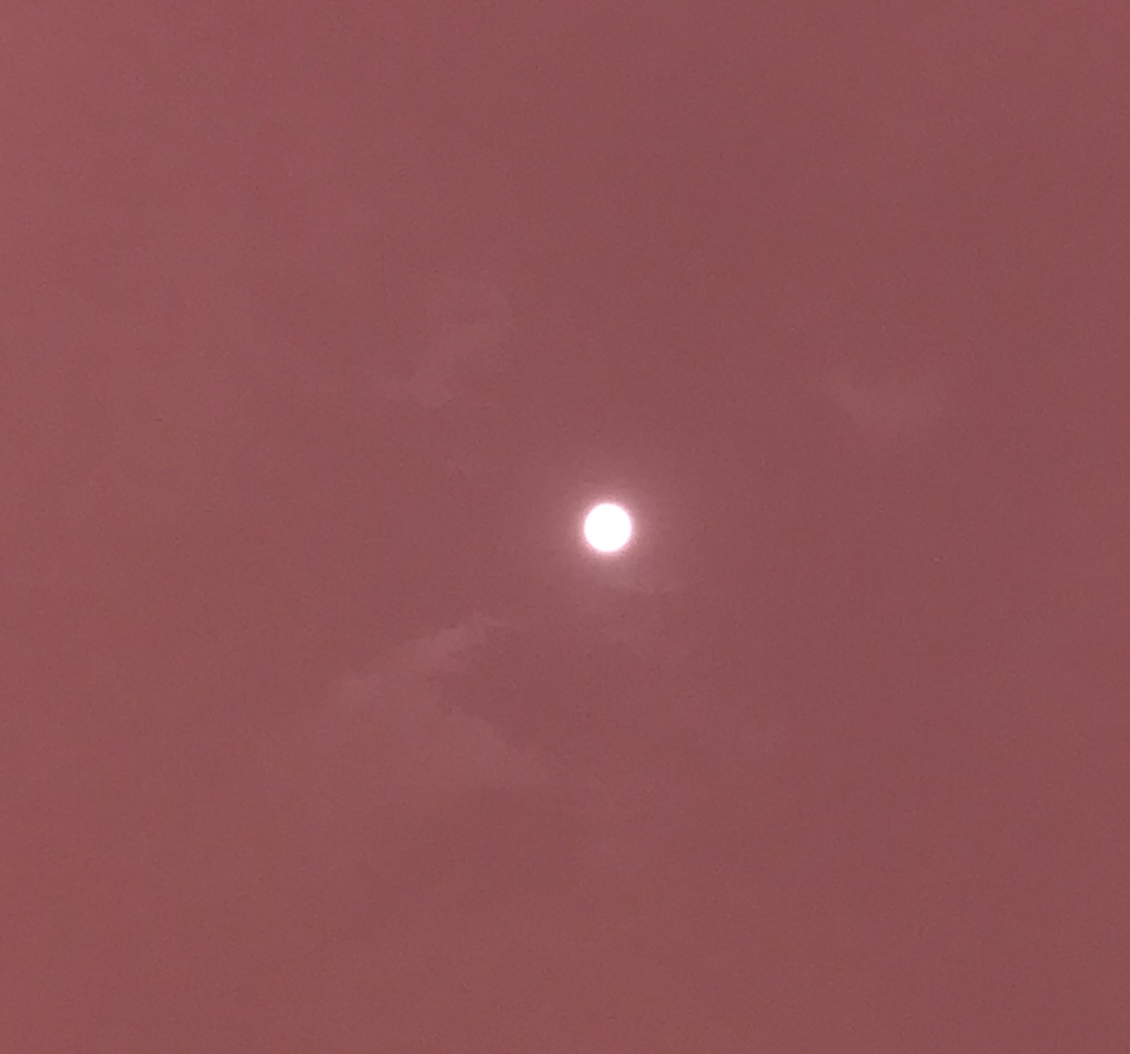 ストロベリーmoon(^^)