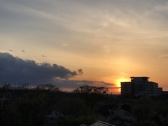 今日の夕日(^^)