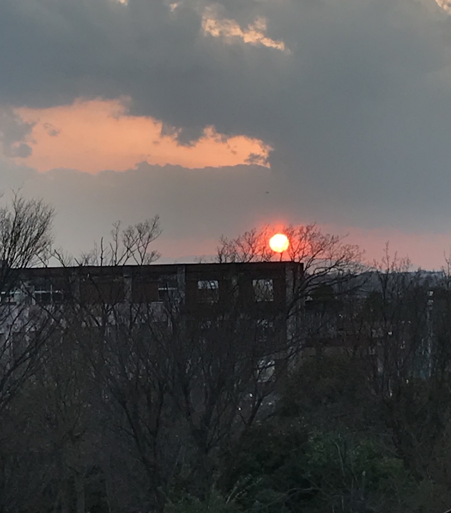 今日の夕陽