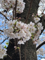 きれい(^ ^)