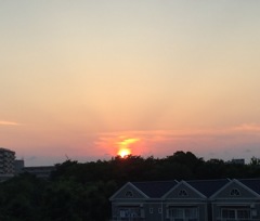 今日の夕暮れ。。。