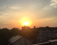 今日の夕暮れ(^^)